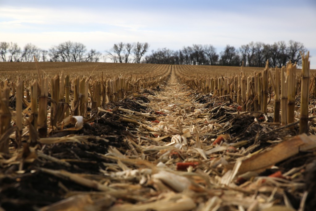 the-pursuit-of-zero-carbon-corn